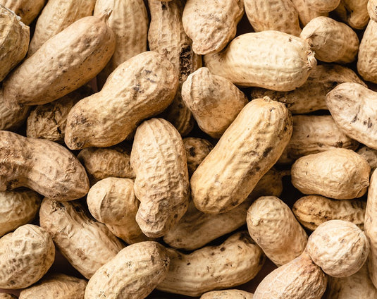 Why we love peanuts?